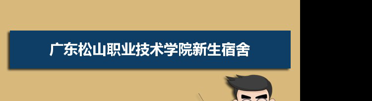 广东松山职业技术学院是公办还是民办公立私立有什么区别